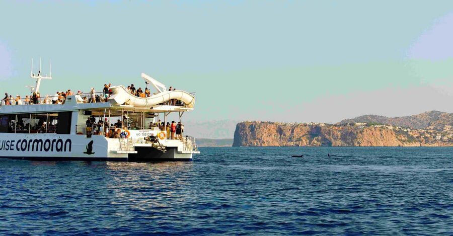 Mallorca: 2-Hour Dolphin Watching Cruise & Glass-Bottom Boat - Snacks, drinks, and the value factor on board