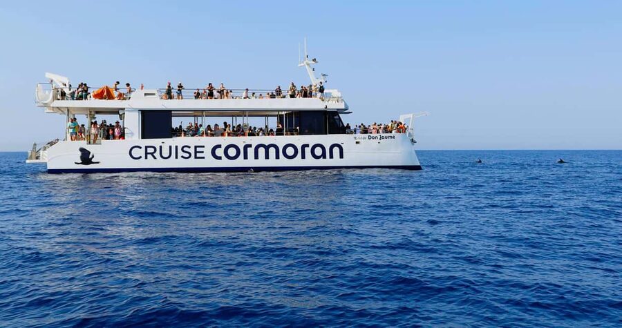 Mallorca: 2-Hour Dolphin Watching Cruise & Glass-Bottom Boat - The swim stop in a sheltered bay and what to bring