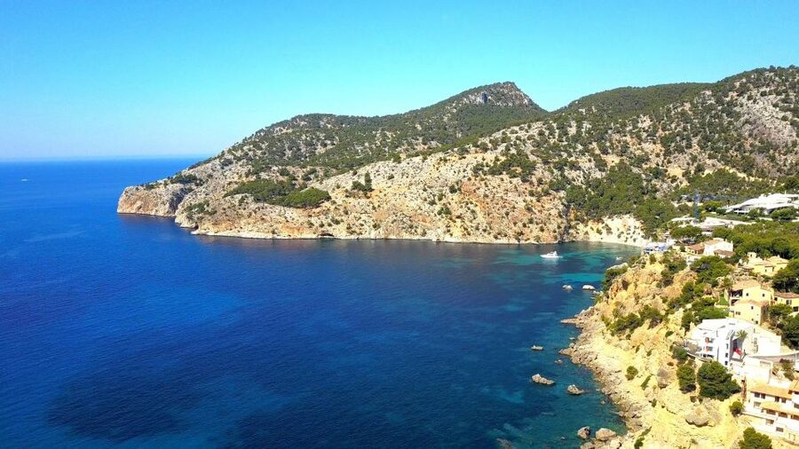 Mallorca: Catamaran Coastal Cruise with Lunch - Cala Egos Swim Stop: The One You’ll Remember