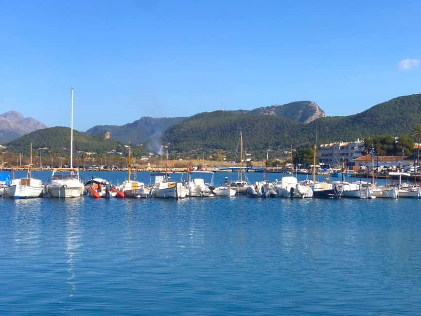 Mallorca: Catamaran Coastal Cruise with Lunch - Port d’Andratx: 40 Minutes in an Exclusive Harbor