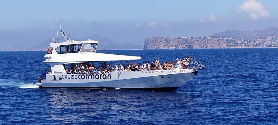 Mallorca: Catamaran Coastal Cruise with Lunch - Lunch Onboard: Buffet Pasta That Works Midday
