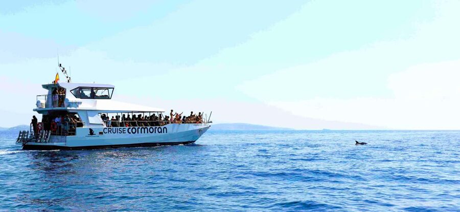 Mallorca: Catamaran Coastal Cruise with Lunch - Drinks and Bars: What’s Included, What’s Not, and What to Budget
