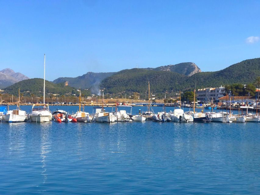 Mallorca: Catamaran Coastal Cruise with Lunch - Underwater Windows: Why This Catamaran Feels Different