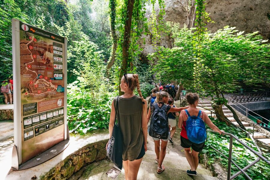 Mallorca: Caves of Drach Day Trip & Optional Caves of Hams - From South-Mallorca Pickup to East-Coast Caves: How the Day Moves