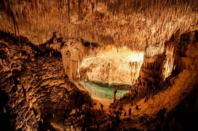 Mallorca: Caves of Drach Tour from the North with Boat Trip - Porto Cristo Timing, and Why It Depends on the Option You Choose