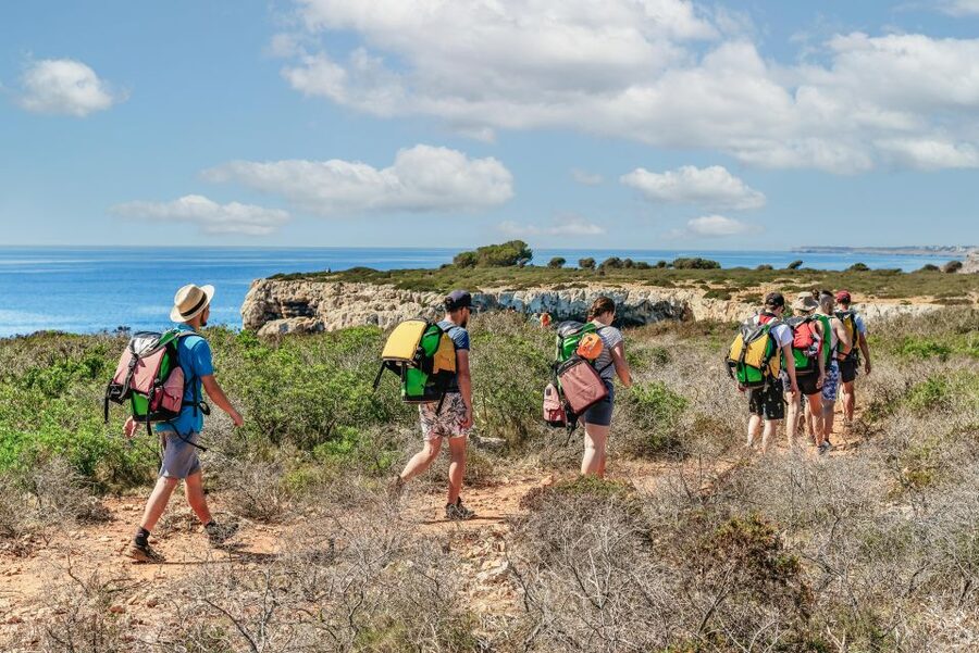 Mallorca: Cova des Coloms Caving Trip with Hotel Transfer - Safety on tricky climbs: what the guide coaching actually does