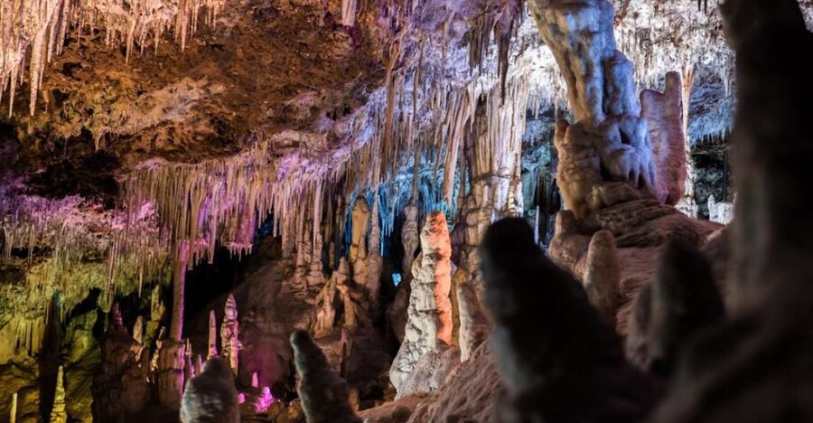 Mallorca: Day Trip to Caves of Hams & Optional Dinosaurland - Key takeaways before you go