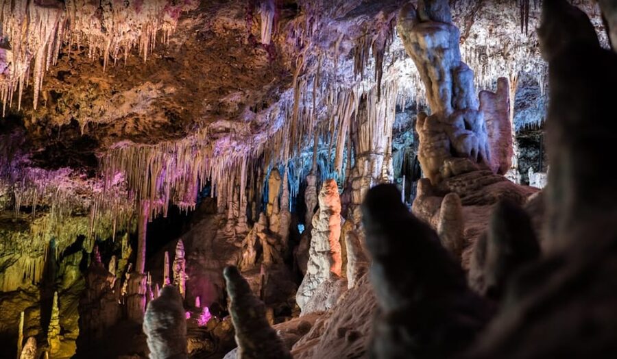 Mallorca: Day Trip to Caves of Hams & Optional Dinosaurland - The coach schedule from south Mallorca: pickup windows, return waits, and bathroom reality