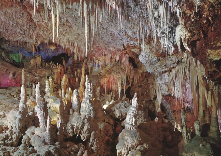 Mallorca: Day Trip to Caves of Hams & Optional Dinosaurland - Price and value: what you get for about $47, and where it can feel tight