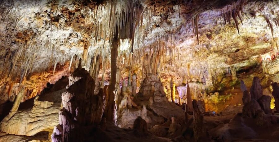 Mallorca: Day Trip to Caves of Hams & Optional Dinosaurland - What to bring, and who this trip fits best