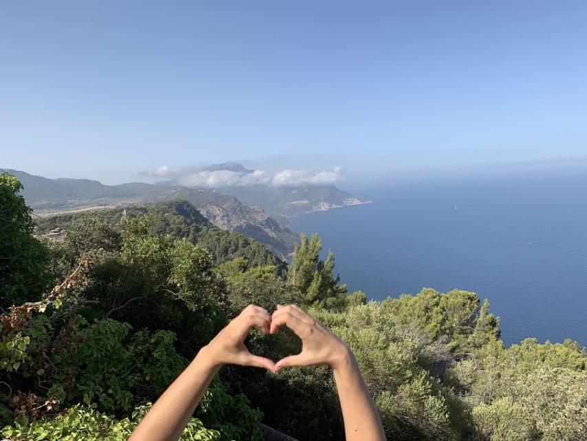 Mallorca: Day Trip to Hidden Gems of Tramuntana with Lunch - Value check: is $147 per person a good deal?