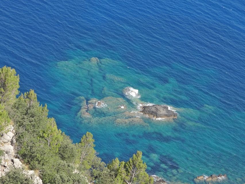 Mallorca: Day Trip to Hidden Gems of Tramuntana with Lunch - The guide factor: small details that turn a good day into a memorable one