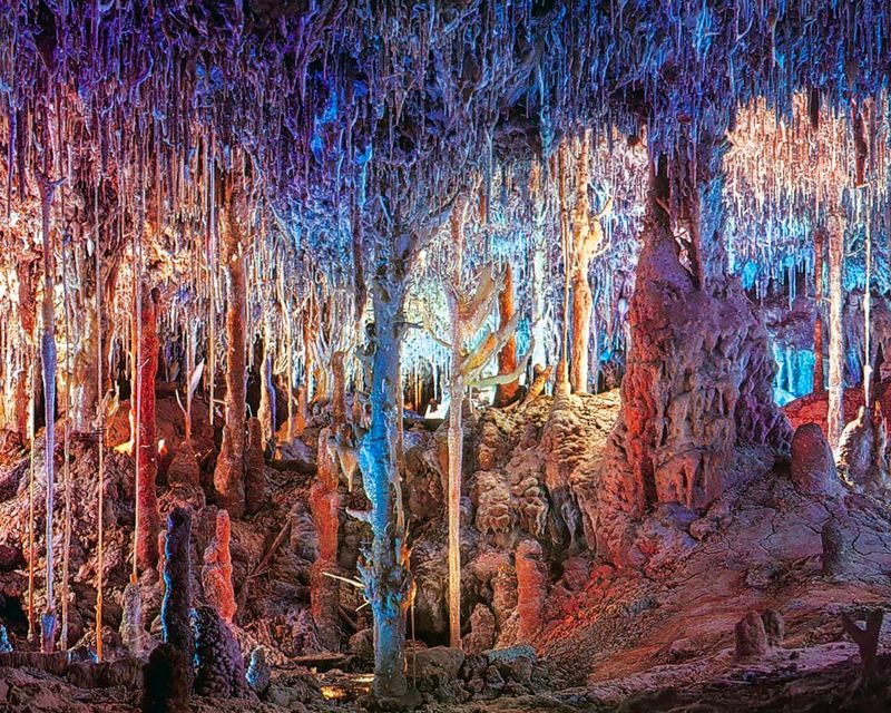 Mallorca: Dinosaurland and Caves of Hams Combined Ticket - Quick hits before you go
