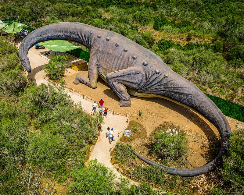 Mallorca: Dinosaurland and Caves of Hams Combined Ticket - Entering Caves of Hams: Round Cave and the bird-filled garden