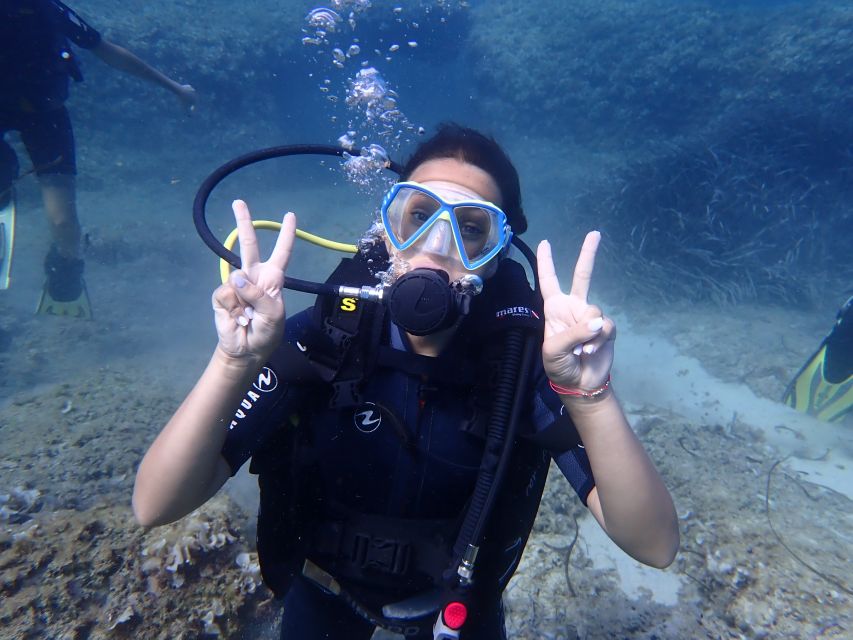 Mallorca: Discover Scuba Diving for Beginners - Why Mallorca’s protected reserve is ideal for a first under-water lesson