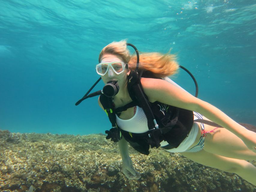 Mallorca: Discover Scuba Diving for Beginners - Marine life and the “how pretty is it” question