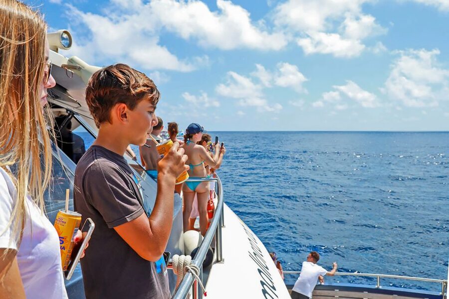 Mallorca: Dolphin Watching Cruise - Who this cruise is best for (and who may want another option)