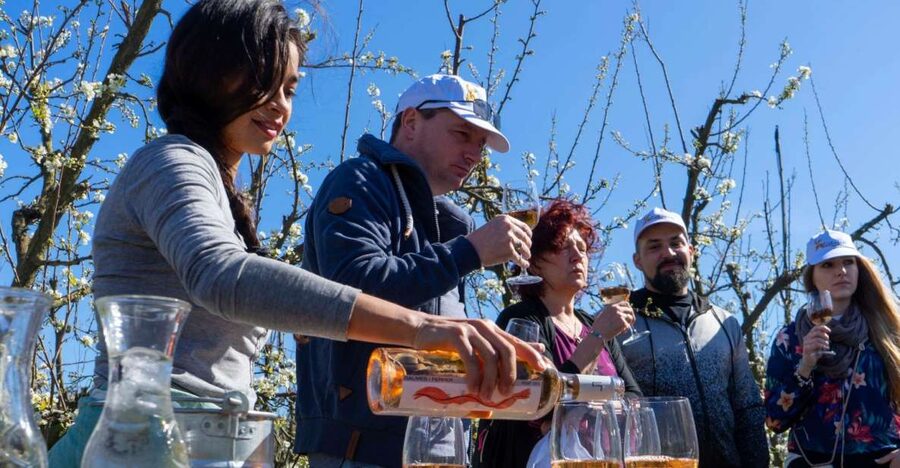 Mallorca: Full-Day Winery Small Group Tour - Mallorca’s Interior Tastes Like the Real Island