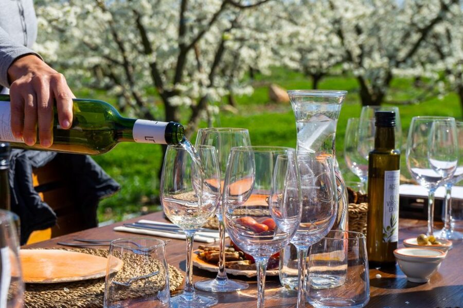 Mallorca: Full-Day Winery Small Group Tour - Palma Hotel Pickup, Minibus Comfort, and What to Pack
