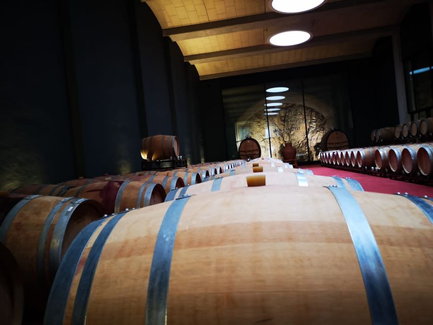 Mallorca: Full-Day Winery Small Group Tour - Stop One: History of Mallorca Wine and a Quality Producer’s Methods