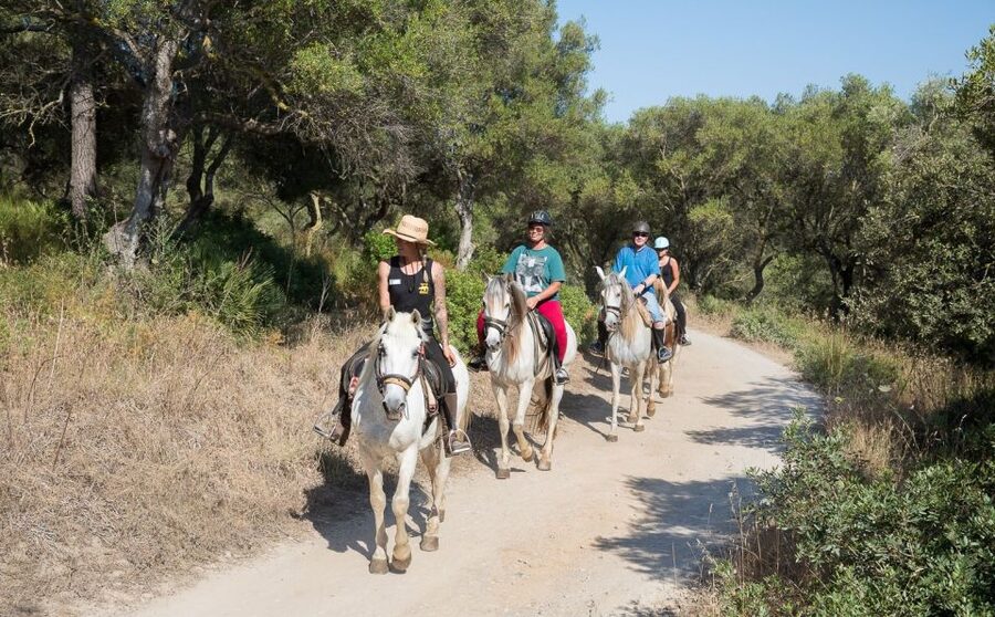 Mallorca: Horseback Riding Excursion and Wine Tasting - Key things to know before you go