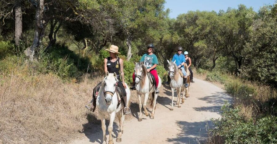 Mallorca: Horseback Riding Excursion and Wine Tasting - After the ride: what makes the wine and cheese tasting worth your time