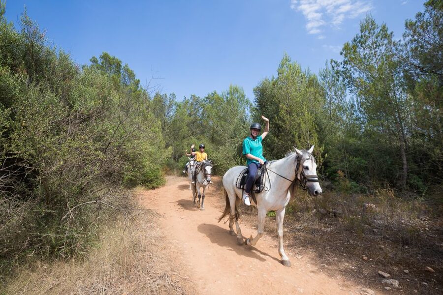 Mallorca: Horseback Riding Excursion and Wine Tasting - How the 2-hour timeline works without feeling rushed