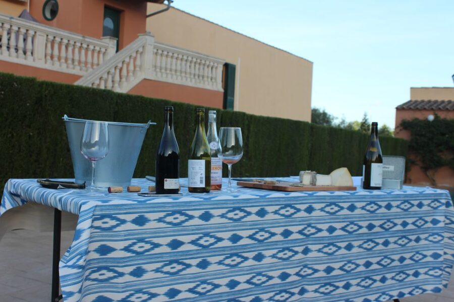 Mallorca: Horseback Riding Excursion and Wine Tasting - The ranch setup: equipment, check-in, and that calm farm rhythm