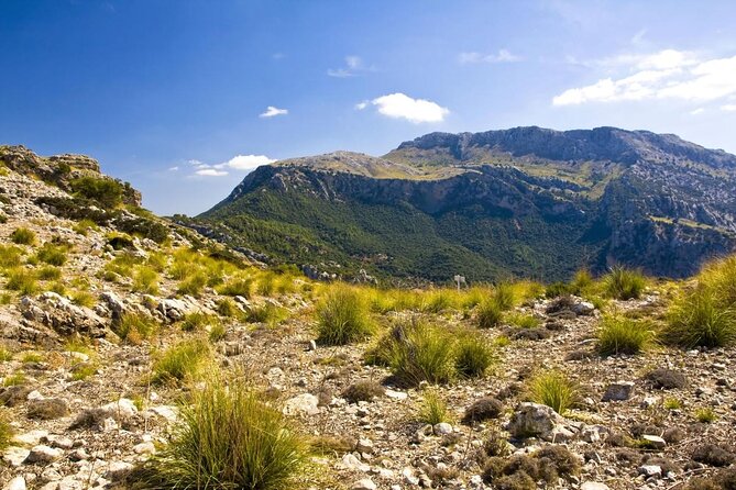 Mallorca in One Day Sightseeing Tour with Boat Ride and Vintage Train - Key things you should know before you go