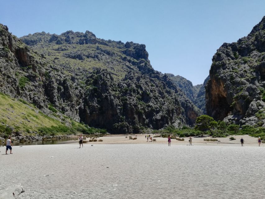 Mallorca: Island Tour with Boat, Train, and Hotel Transfer - Quick hits before you go