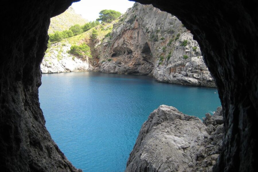 Mallorca: Island Tour with Boat, Train, and Hotel Transfer - Palma to Sóller: the vintage train start that sets the mood