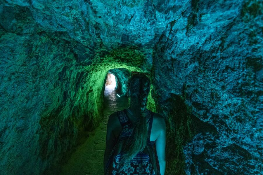Mallorca: Island Tour with Boat, Tram & Train from the South - Transfers and multilingual guiding: what to expect from the human side