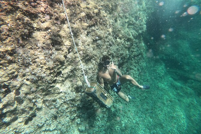 Mallorca: Kayaking, Sea Cave, Cliff Jumping & Snorkel Tour - Price and timing: is $83.44 worth it for 3 hours?