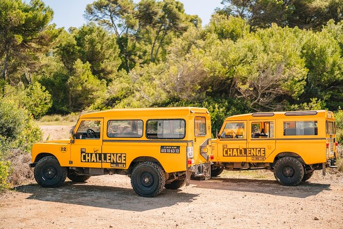 Mallorca: Kayaking, Sea Cave, Cliff Jumping & Snorkel Tour - Getting started at Alcúdia, with pickup that actually helps