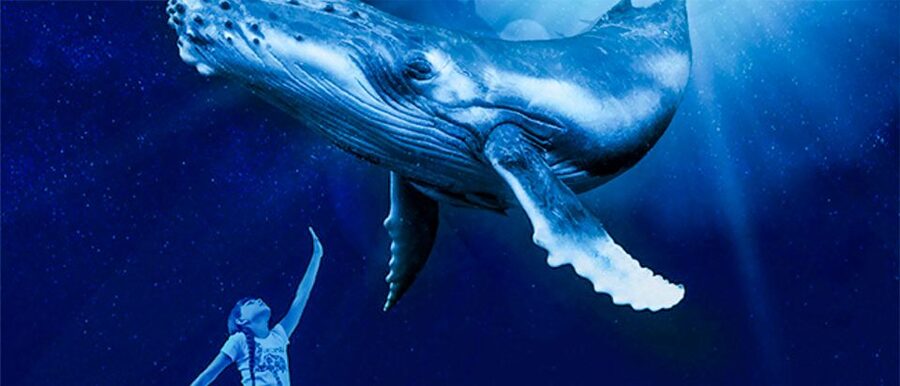 Mallorca: Palma Aquarium Entry Ticket w/ Optional 3D Cinema - Key highlights to plan your day around