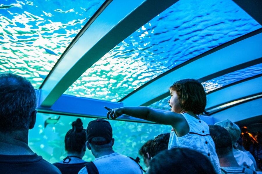 Mallorca: Palma Aquarium Entry Ticket w/ Optional 3D Cinema - Price and Value: Is the Ticket Worth About $39?