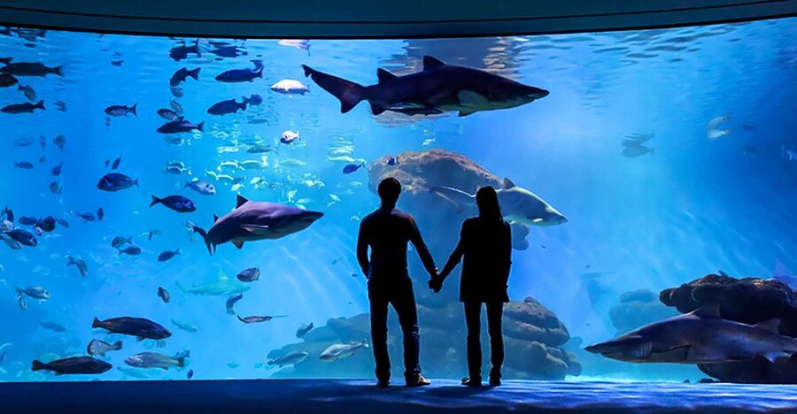 Mallorca: Palma Aquarium Entry Ticket w/ Optional 3D Cinema - The Aquarium Walkthrough: 8 Habitats That Change the Mood