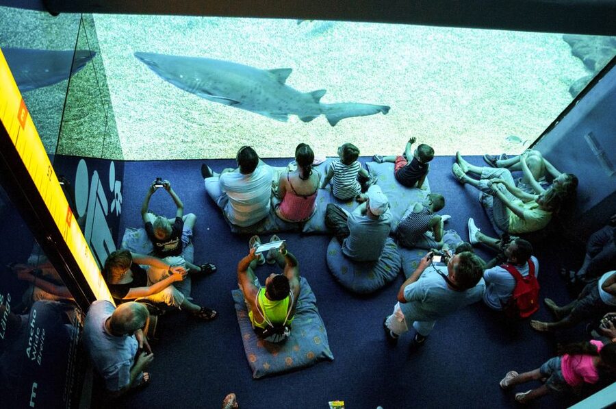 Mallorca: Palma Aquarium Entry Ticket w/ Optional 3D Cinema - Big Blue and Living Corals: Two Exhibits People Keep Talking About