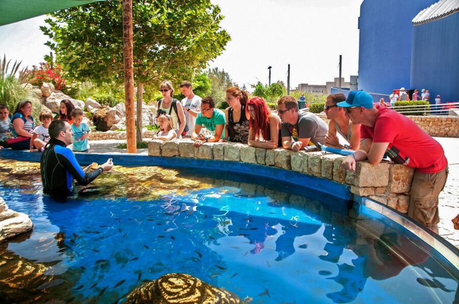 Mallorca: Palma Aquarium Entry Ticket w/ Optional 3D Cinema - Aquadome 3D Cinema: The Whale Experience Without a Wet Hair Problem