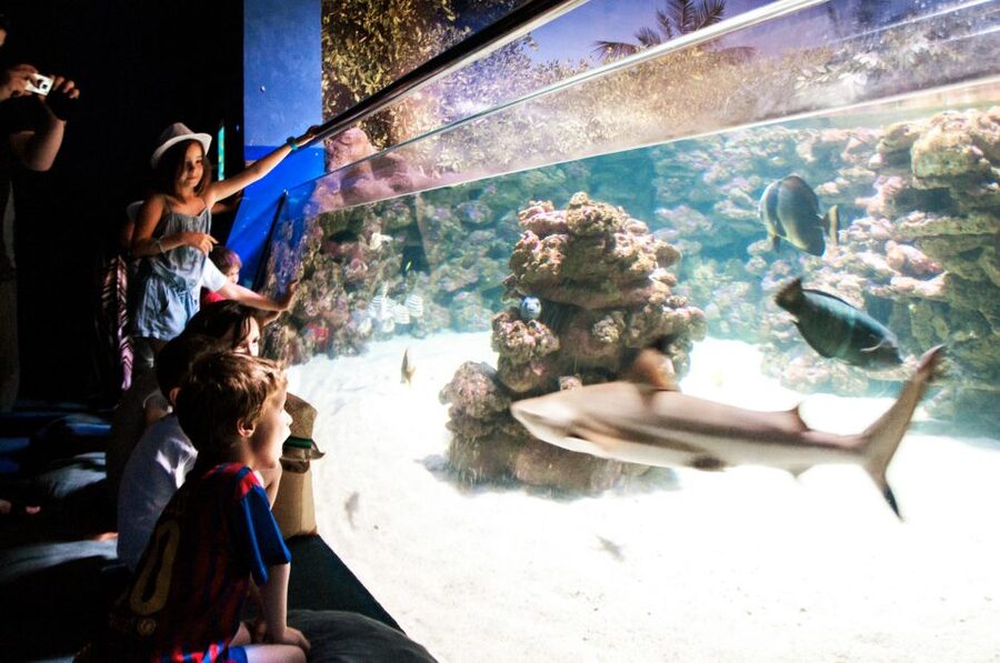 Mallorca: Palma Aquarium Entry Ticket w/ Optional 3D Cinema - Family-Friendly Setup: Indoor Play, Water Zones, and Jungle Scenery