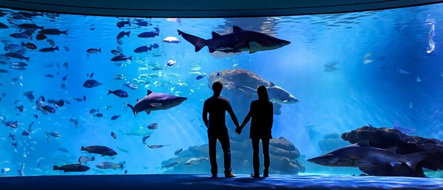 Mallorca: Palma Aquarium Entry Ticket w/ Optional 3D Cinema - Food, Comfort, and Seasonal Reality Checks