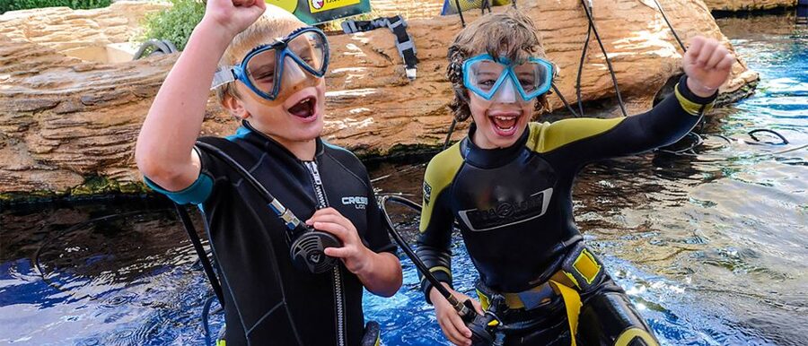 Mallorca: Palma Aquarium Entry Ticket w/ Optional 3D Cinema - Where to Meet and How to Time Your Start