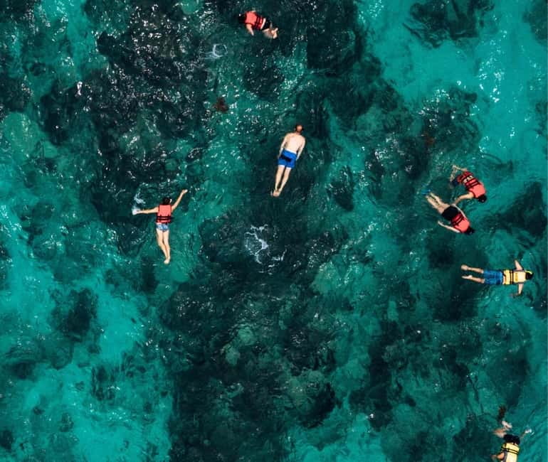 Mallorca: Palma Boat Tour & Snorkeling with Drink Included - Snorkeling reality check: what you’ll likely see