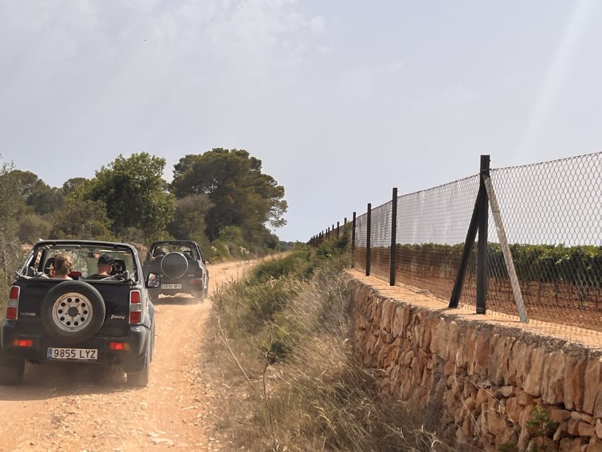 Mallorca: Self Drive 4x4 Jeepsafari Tour - Why a Mallorca 4x4 jeep safari feels different from a standard excursion