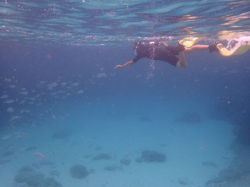 Mallorca: Snorkeling in a Beautiful Nature Reserve - Meeting points in Playa de Palma or Cabo Regana (and how to not miss the van)