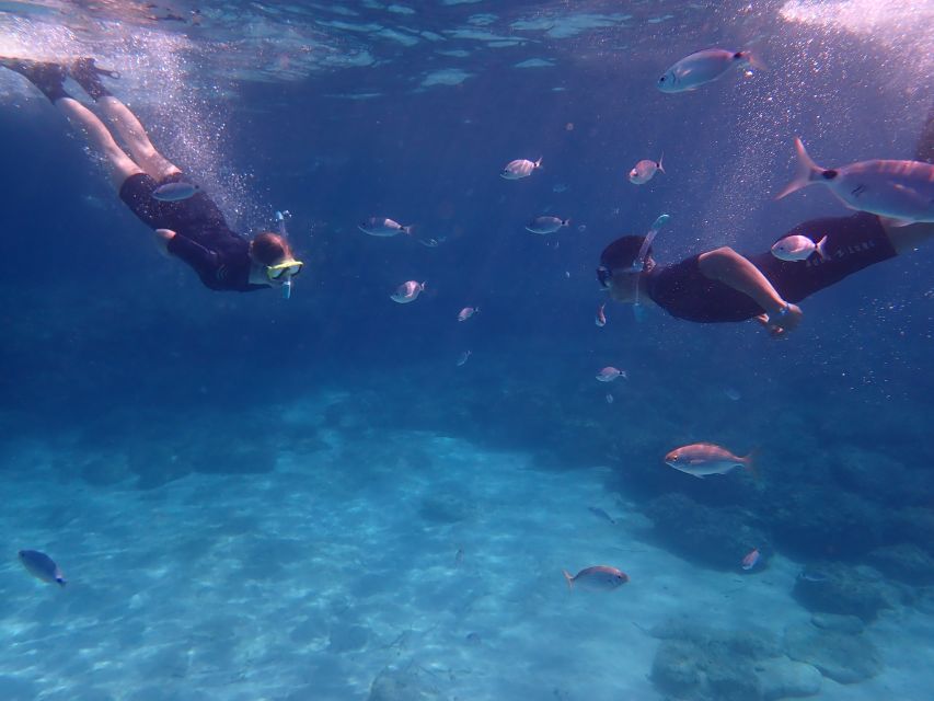 Mallorca: Snorkeling in a Beautiful Nature Reserve - What you should bring, plus the small habits that make snorkeling better