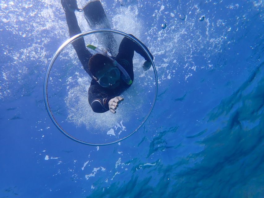Mallorca: Snorkeling in a Beautiful Nature Reserve - Price and value: why $82 can be worth it here