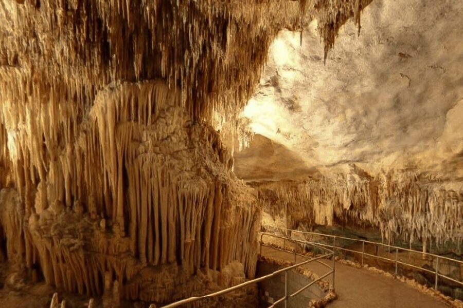 Mallorca: Ticket for Caves of Drach with Pickup Service - The Lake Martel Moment: Boat Ride Versus Walking the Bridge