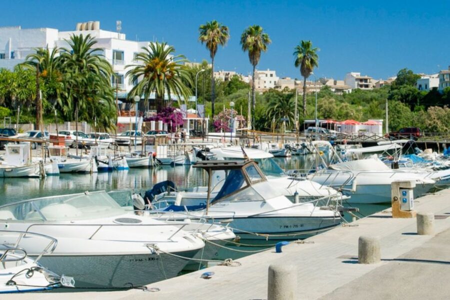 Mallorca: Ticket for Caves of Drach with Pickup Service - Porto Cristo Free Time: 20 Minutes in the Harbour