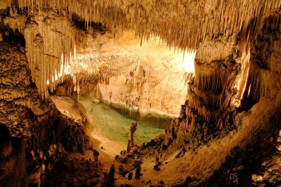 Mallorca: Ticket for Caves of Drach with Pickup Service - Price and Value: Why $64 Feels Fair for Many People